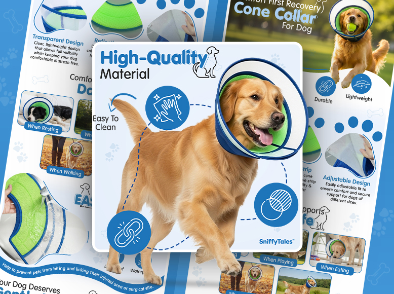 Listing-Collage-Dog-Cone-Collar