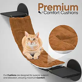 Amazon listing image 3